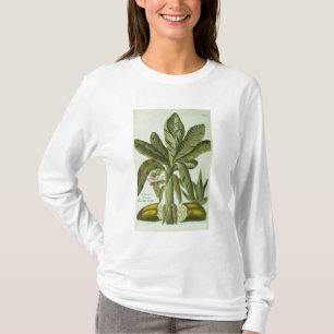 Camiseta Banana, de Phytanthoza Iconographi de J. Weinmann