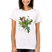 Banana tropical de palma e folhas exóticas.