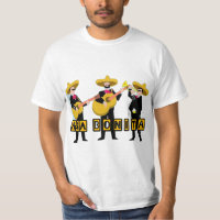 banda musical casa Bonita