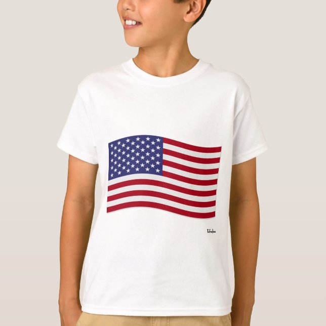 Camiseta Bandeira Americana (Frente)