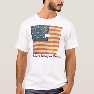 Camiseta Bandeira americana com 15 estrelas - bandeira star