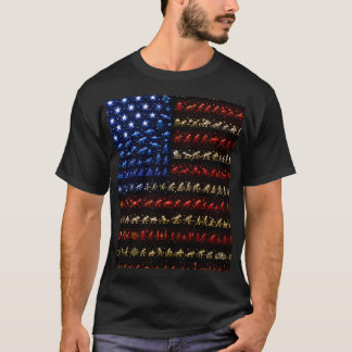 Camiseta Bandeira Americana da Evolução | Big Bang até a Hu