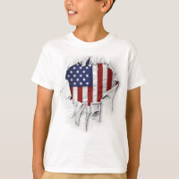 Bandeira Americana Destruída, Rasgada e Rasgada