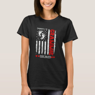 Camiseta Bandeira Americana Feminina Promovida à Grammie 20