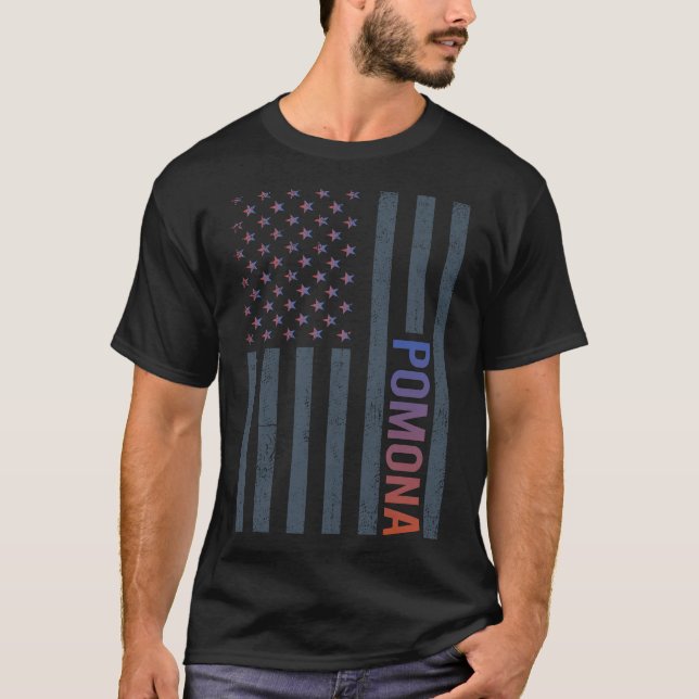 Camiseta Bandeira Americana Gradiente Pomona (Frente)