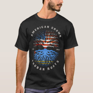 Camiseta Bandeira Arubana Americana Cultivada Aruba