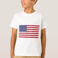 Bandeira bandeira americana dos Estados Unidos -