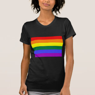 Camiseta Bandeira básica do arco-íris