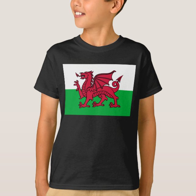 Camiseta Bandeira Celta do Dragão Vermelho do País de Gales (Frente)