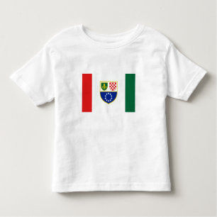 Camiseta Bandeira da Bósnia-Herzegovina