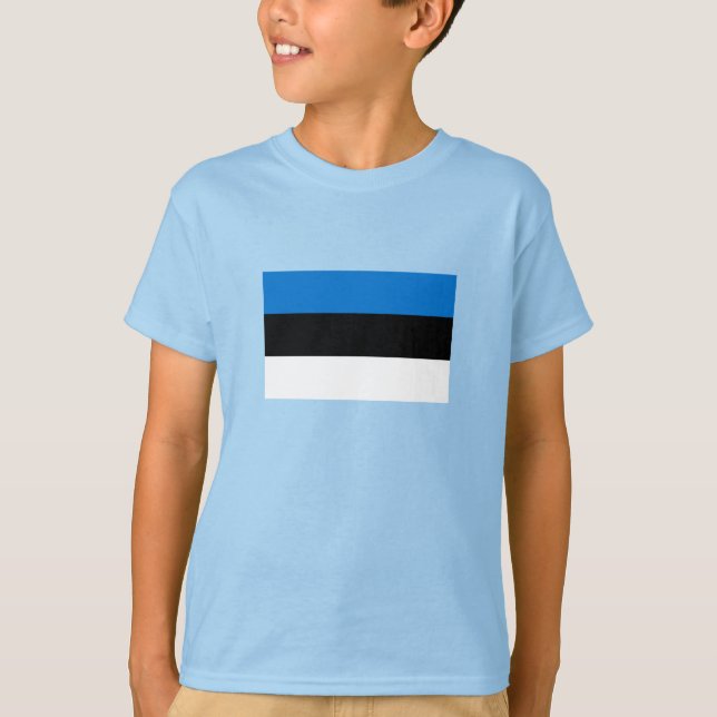 Camiseta Bandeira da Estônia (Frente)