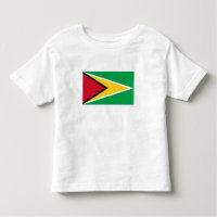 Bandeira da Guiana