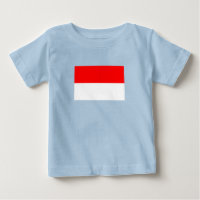 Bandeira da Indonésia
