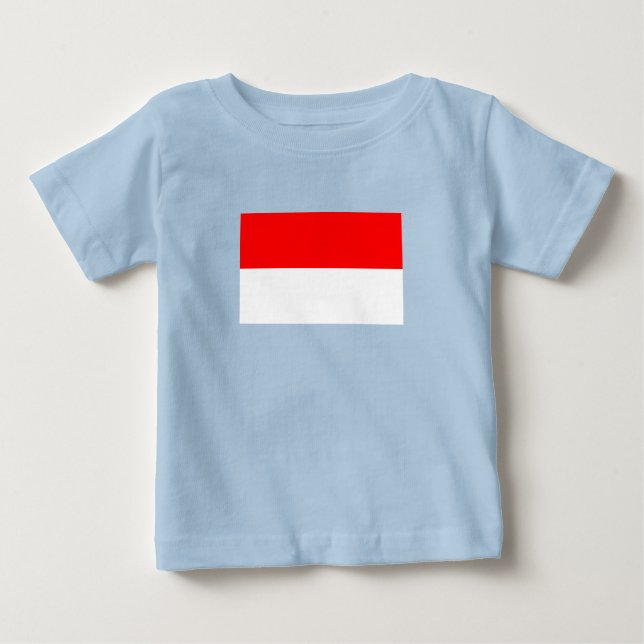 Camiseta Bandeira da Indonésia (Frente)