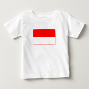 Camiseta Bandeira da Indonésia
