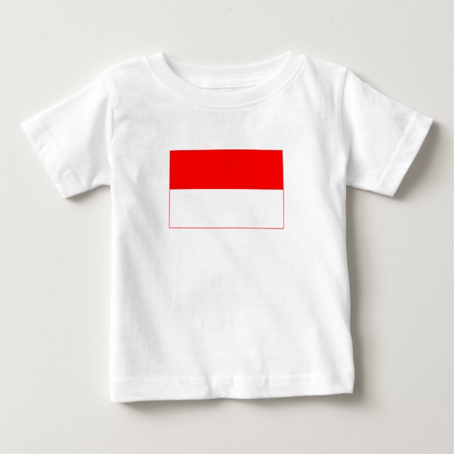 Camiseta Bandeira da Indonésia (Frente)