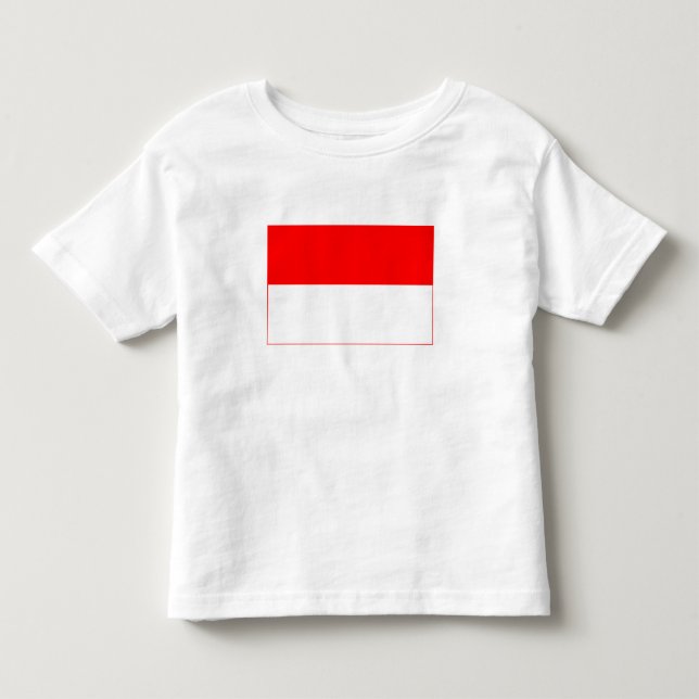 Camiseta Bandeira da Indonésia (Frente)