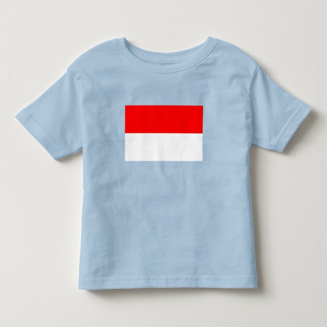 Camiseta Bandeira da Indonésia (Frente)