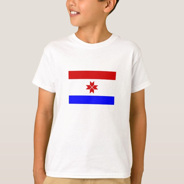 Camiseta Bandeira da Mordóvia (Frente)