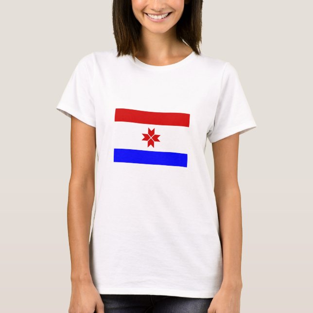 Camiseta Bandeira da Mordóvia (Frente)