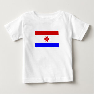 Camiseta Bandeira da Mordóvia