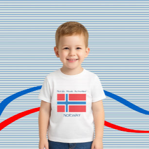 Camiseta Bandeira da Noruega