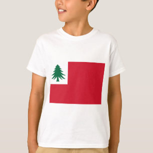Camiseta Bandeira da Nova Inglaterra