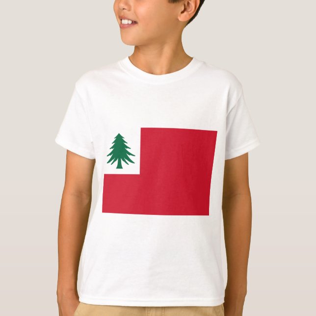 Camiseta Bandeira da Nova Inglaterra (Frente)