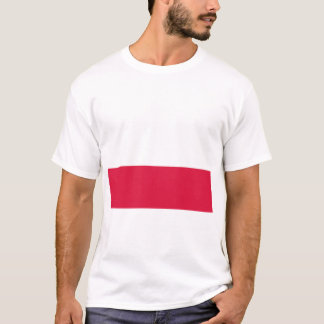 Camiseta Bandeira da Polônia | Bandeira Nacional da Polônia