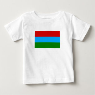 Camiseta Bandeira da República da Carélia