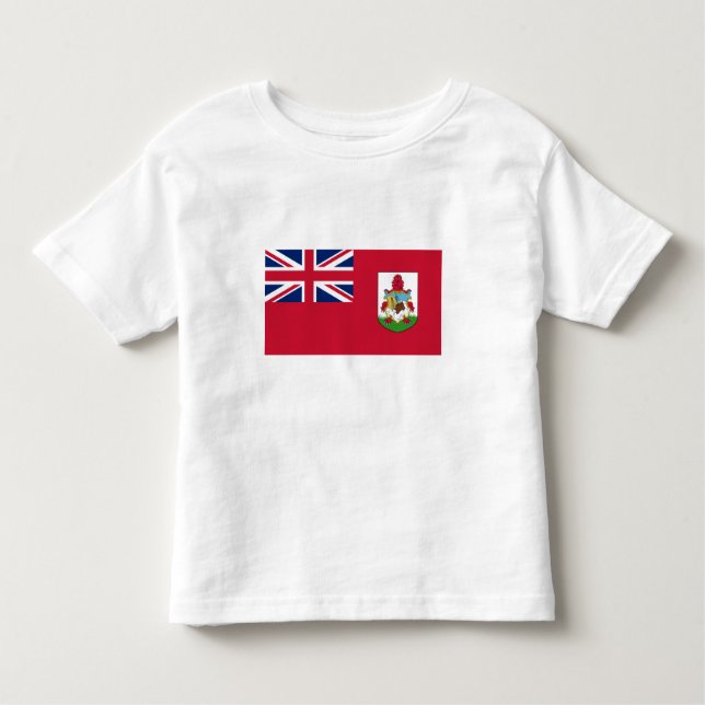 Camiseta Bandeira das Bermudas Patriótica (Frente)
