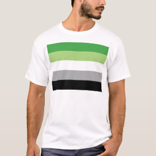 Camiseta Bandeira de Aromantic