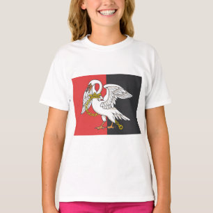 Camiseta Bandeira de Buckinghamshire (condado do Reino Unid