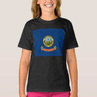 Bandeira de Idaho: o Estado Pedra Preciosa, Montan