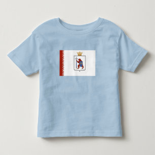 Camiseta Bandeira de Mari El
