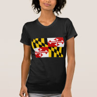 Bandeira de Maryland dos Estados Unidos