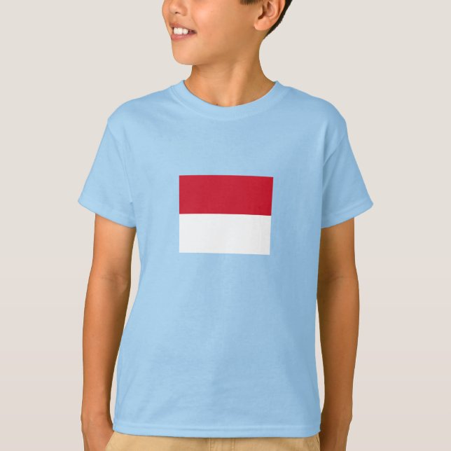 Camiseta Bandeira de Mônaco (Frente)