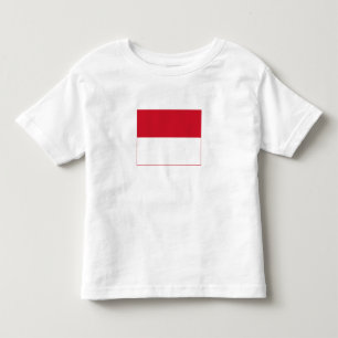 Camiseta Bandeira de Mônaco