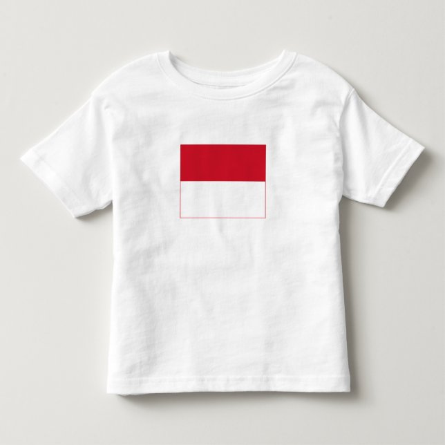 Camiseta Bandeira de Mônaco (Frente)