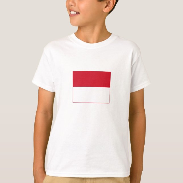 Camiseta Bandeira de Mônaco (Frente)