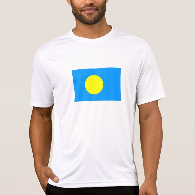 Camiseta Bandeira de Palau (Frente)