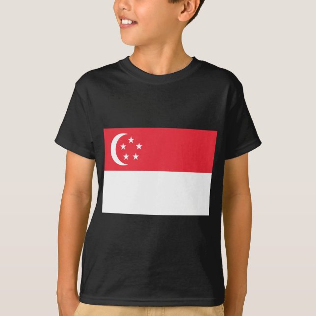 Camiseta Bandeira de Singapura (Frente)