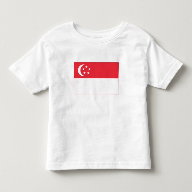 Camiseta Bandeira de Singapura (Frente)