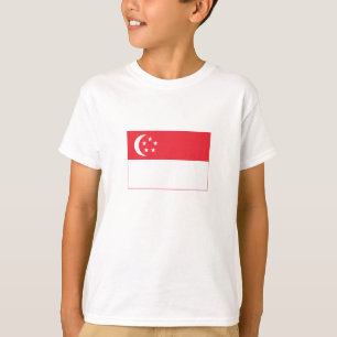Camiseta Bandeira de Singapura