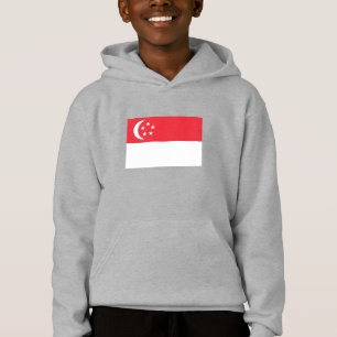 Camiseta Bandeira de Singapura