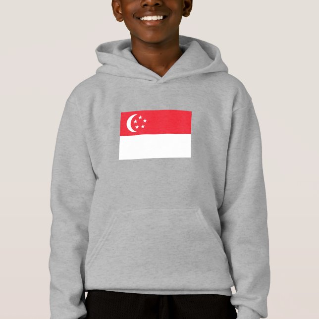 Camiseta Bandeira de Singapura (Frente)