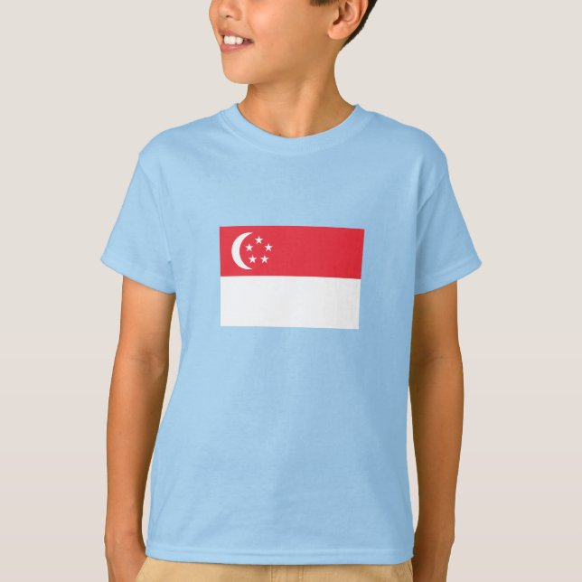 Camiseta Bandeira de Singapura (Frente)