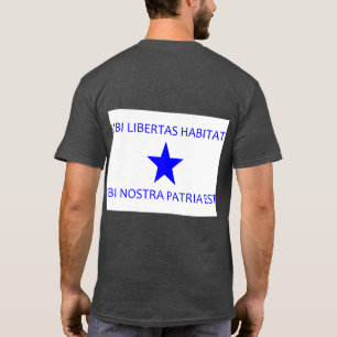 Camiseta Bandeira de Troutman