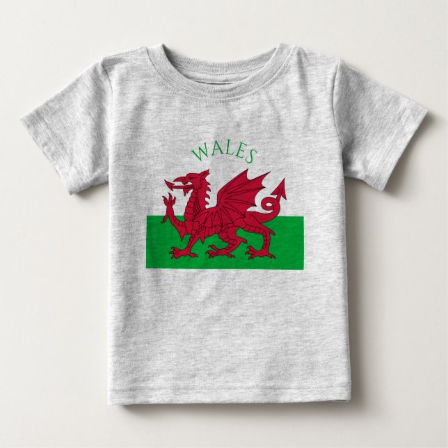 Camiseta bandeira de wales (Frente)