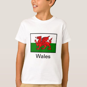 Camiseta Bandeira de Wales